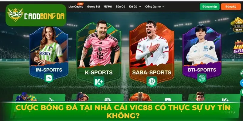 Cược Bóng Đá Tại Nhà Cái Vic88 Có Thực Sự Uy Tín Không?